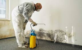 Best Mold Remediation for Healthcare Facilities  in Glespie, IL