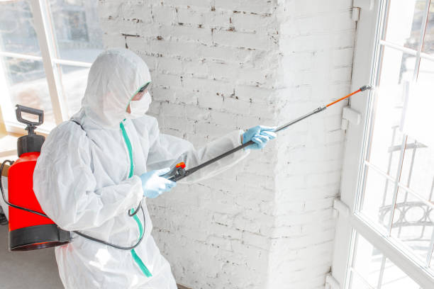 Best Residential Mold Inspection & Testing  in Glespie, IL