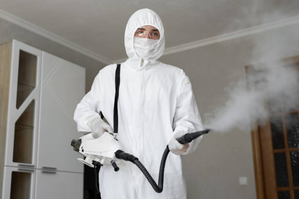 Best Mold Prevention Services  in Glespie, IL